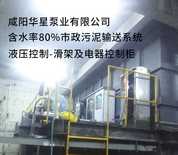 含水80%市政污泥處理系統-電器控制柜